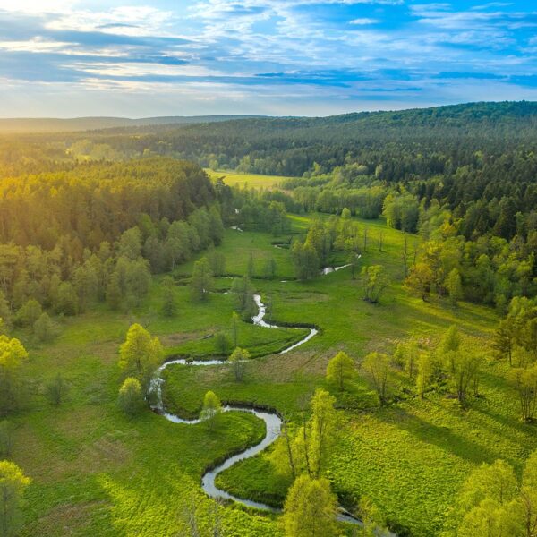 OutCider Inn – dom wakacyjny na wynajem, Roztocze, galeria zdjęć Roztocze