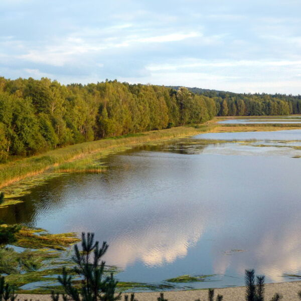 Roztoczański Park Narodowy, staw Echo, zdjęcie na licencji CC Wikimedia